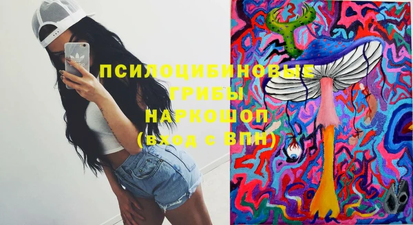 прущие крисы Яранск