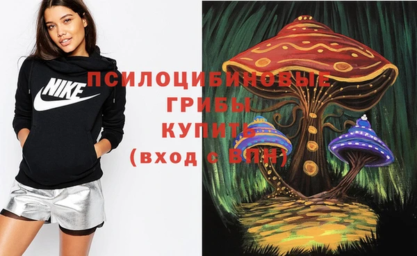 Альфа ПВП Зерноград