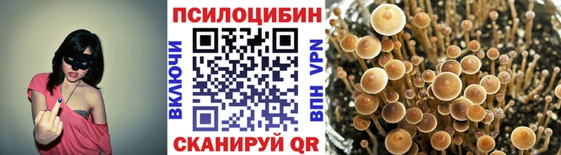 Галлюциногенные грибы Psilocybine cubensis  Купить закладки  Кирово-Чепецк 